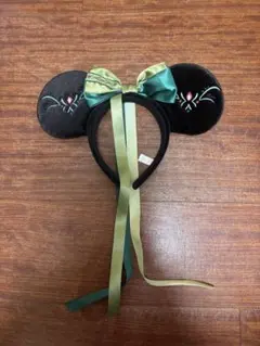 ディズニーランド/シー　ミニーちゃん　カチューシャ　アナと雪の女王　アナ