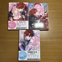 【初版あり！】愛が重い 騎士公爵は追放令嬢のすべてを奪い尽くしたい1-3巻セット