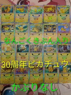 30周年ピカチュウ 30thセレブレーション　なんごくきぶん　カンダシンジ