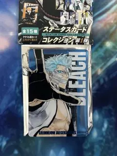 2026年最新】ステータスカード bleachの人気アイテム - メルカリ