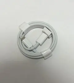 ライトニングケーブル　type C 充電器 埃、汚れなどあるかもしれない
