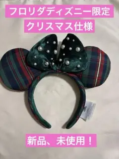【海外限定2025年版】フロリダディズニー　クリスマス　カチューシャ