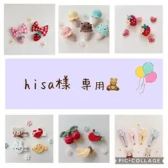 hisa様 専用