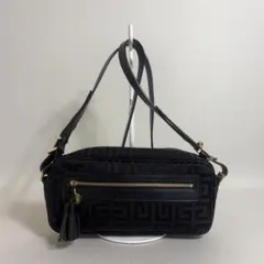 Elisabetta Franchi ショルダーバッグ 2207 - メルカリ