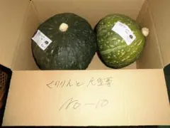 くりりんかぼちゃ、白栗かぼちゃの 2種セット 4個 総重量9.7㎏ - メルカリ