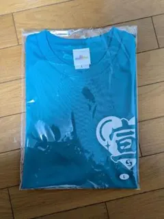 Item thumbnail for item 85b5e8c8-4df9-4f17-a35e-e7527114b4e3