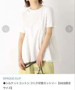 オペークドットクリップ　シルケットコットン フハク切替カットソー ホワイト