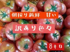 激安！！訳あり　色々８キロ！！ 朝採り新鮮で甘のサムネイル