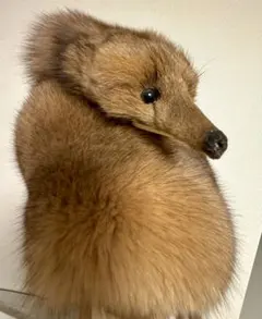 青狐　フォックスリアルアー 頭足付き毛皮　マフラー