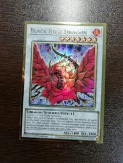 遊戯王ブラックローズ・ドラゴン コレクティブルティン2008【英語版】未開封 英語版 Black Rose Dragon Collectible Tin 2008 ブラック