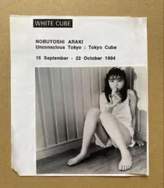 Item thumbnail for item e8cbb208-410b-49d5-8e6e-b7afa1763cde