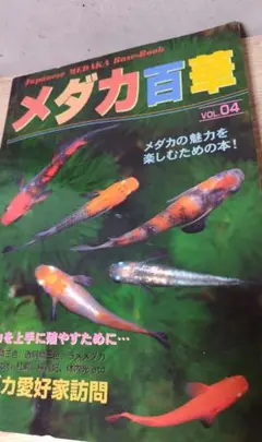 メダカ百華 Vol.4 めだか 雑誌