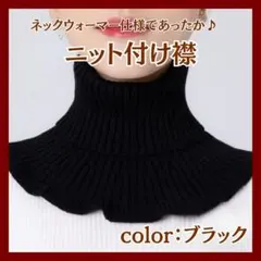ネックウォーマー 付け襟 つけ襟 タートルネック ハイネック ニット ブラック