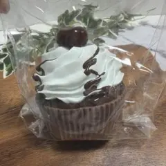 【タグなし】カップケーキ スクイーズ チョコ チェリー