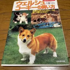 Item thumbnail for item 3a6c2da6-9db2-471d-993c-0d1ac106fb89