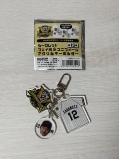 シークレット フェイス&ユニフォーム アクリルキーホルダー 坂本誠志郎選手
