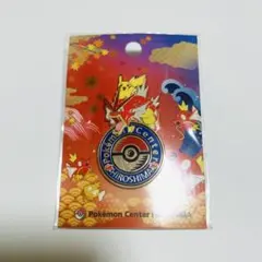 ポケモンセンターヒロシマ 限定 ギャラドス ロゴピンズ ピンバッジ