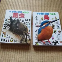 小学校の図鑑NEO 昆虫・鳥セット