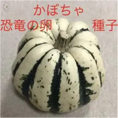 きよさん様 リクエスト 2点 まとめ商品