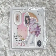 ゆ*犬様 FRUITSZIPPER 松本かれん アクスタ