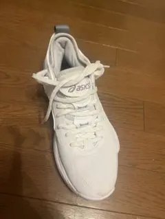 ASICS nova surge low2 バスケットボールシューズ　片足
