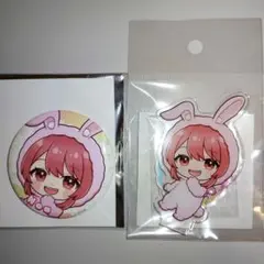 カラフルピーチ　東武動物公園　缶バッジ　アクリルスタンド　のあ