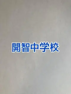 りぃ様専用　開智中学校　2026年合格への算数と特訓、理科プリント