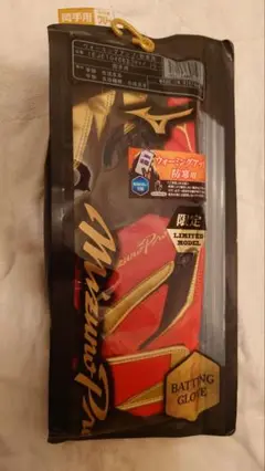 Mizuno バッティング用手袋 EJET04062 Lサイズ 限定