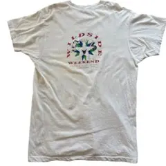 Item thumbnail for item b95cfd7f-d7ee-4a72-8ea6-d5135dce1ad5