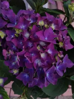 まさ様 リクエスト 2点 まとめ商品