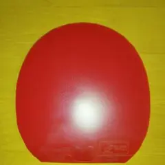 ディグニクス09C　特厚