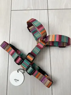 Item thumbnail for item 23d909bb-e4d8-41e1-8527-8e18d06a8c70