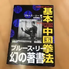 中国拳法大講座　全27冊　形意拳道　4冊　人体急所図 中国拳法大講座 全27冊 形意拳道 4冊 人体急所図