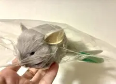 2026年最新】上野動物園 チンチラの人気アイテム - メルカリ