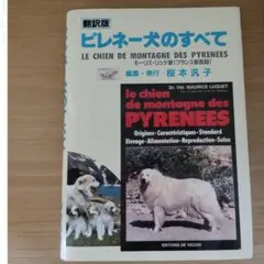 Item thumbnail for item 6d3d6677-6cb5-4858-a8e5-e60cb2dda161