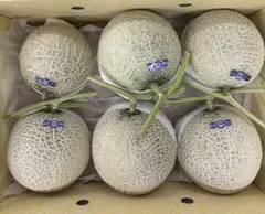 高知産 温室マスクメロン6玉入8キロ（箱込み）のサムネイル