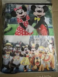 【新品未開封】TDL30周年 篠山紀信 ディズニー 額縁入り大判写真 限定品】東京ディズニーランド 30周年 生写真 篠山紀信 - メルカリ