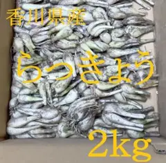 初物❗️鳥取県産 農薬不使用 砂丘らっきょう らっきょう - メルカリ