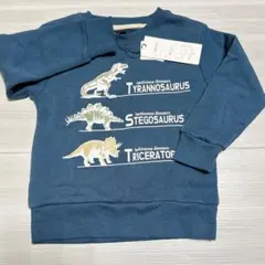 裏起毛 トレーナー 長袖 恐竜 110cm スウェット