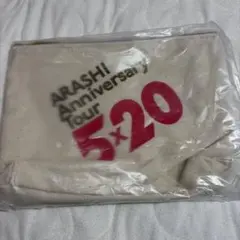 嵐　5×20 ポーチ