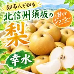 ①○ラスト○北信州須坂の幸水 ・箱込み約2.2〜2.4kg前後 - メルカリ