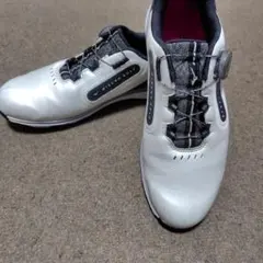 MIZUNO GOLF NEXLITE BOA ゴルフシューズのサムネイル