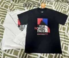 THE NORTH FACE ロングスリーブカラコラムレンジティー 2着