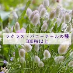 うさうさ様 リクエスト 2点 まとめ商品