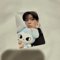 StrayKids スンミン RUN IT ぬいぐるみ 付属 トレカ - メルカリ