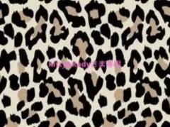 kitty❥Radyさま専用