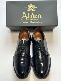 【極美品】ALDEN BLACK CORDOVAN PLAIN 9D 9901