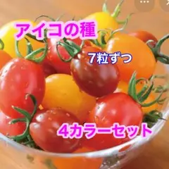 ★ほし★様 リクエスト 2点 まとめ商品