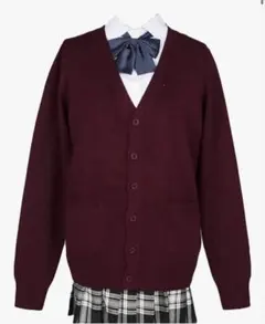 スクールカーディガン 女子 制服 カーディガン 学生 厚手 無地 Vネック
