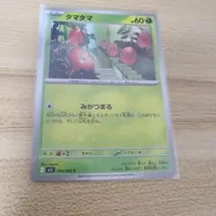 タマタマ 004/063 C ポケモンカード